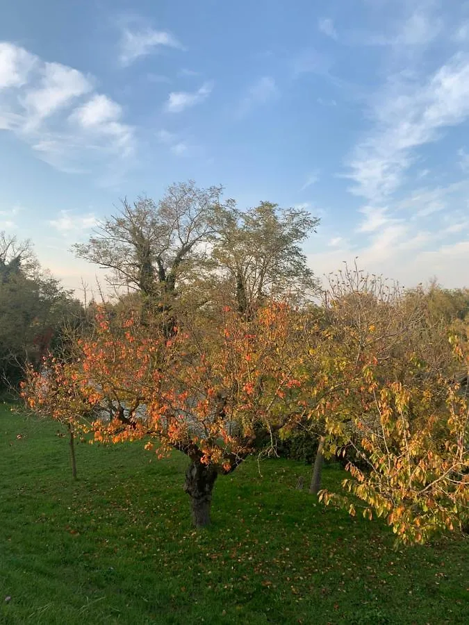 B&B Le Col-Vert Lido di Dante 0*,